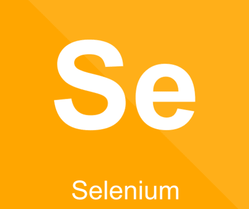 Selenium Certification Training in Chennai